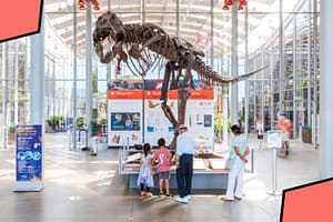 California-Academy-of-Sciences-San-Francisco-Travel-Tourism-Guide